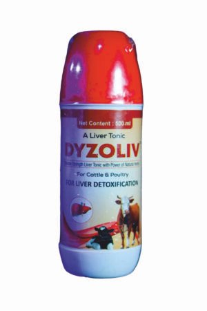 DYZOLIV-FR LIVER TONIC