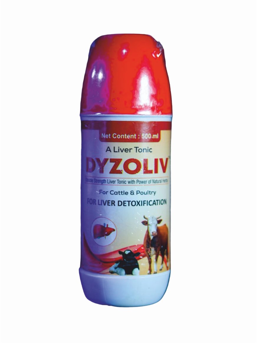 DYZOLIV-FR LIVER TONIC