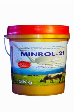 MINROL-21