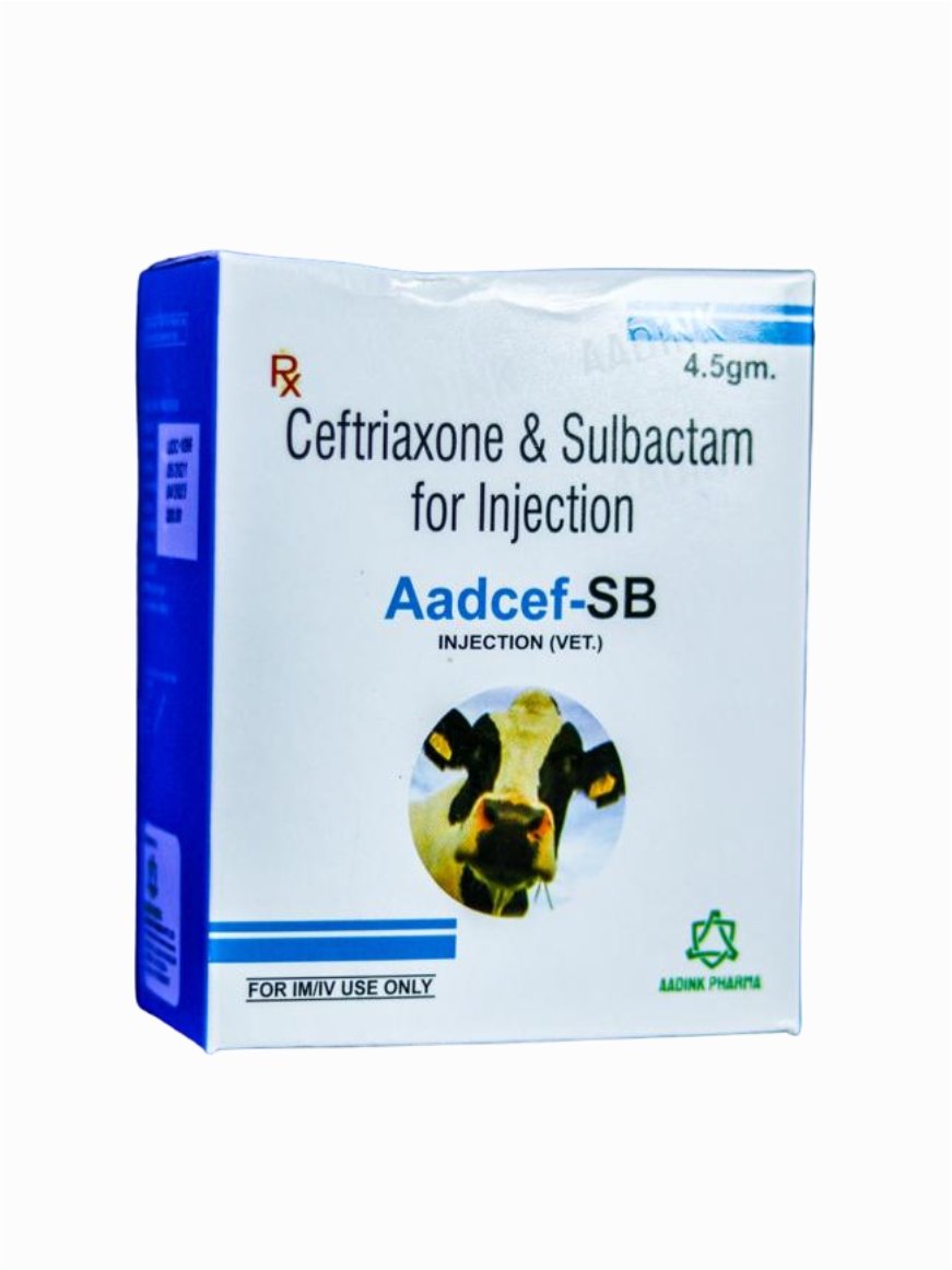 AADCEF-SB