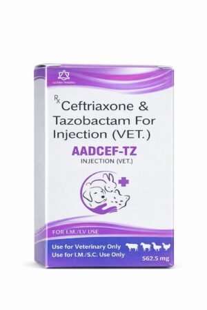 AADCEF-TZ