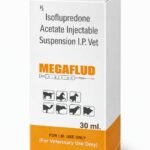 MEGAFLUD